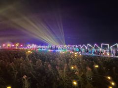 -枫林花海