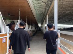 -名驭国际马术学院
