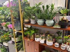 -怡花宜木鲜花店(朝阳路店)