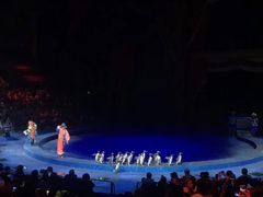 -珠海横琴长隆《卡卡虎奇遇记》