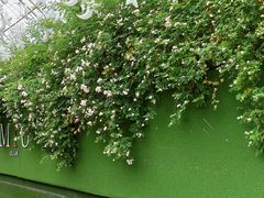 -UNI UNI(环亚凯瑟琳店)