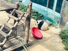 -大连森林动物园