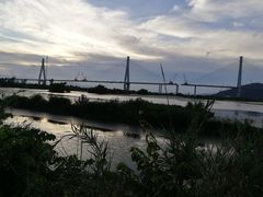 -芒洲湿地公园