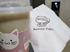 -浣熊柯尔鸭土拨鼠·电玩咖