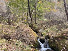 -五女峰国家森林公园