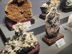 -湖南省地质博物馆