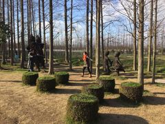 -上海长兴岛郊野公园