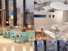 -怪兽屋·羊驼·猫咖·狗咖(俊华广场店)