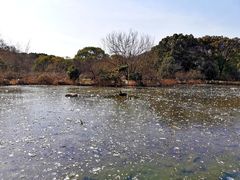-白马涧龙池景区
