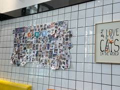 -半岛宠物医院24小时(科华中路店)
