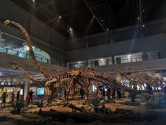 -自贡恐龙博物馆