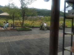 -比顿咖啡(和顺古镇店)