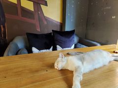 -咖法森林·咖啡  酒吧(天河店)