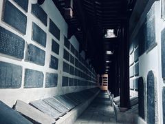 -苏州文庙(姑苏区)