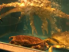 -鲜炉季港式打边炉(尚海湾店)