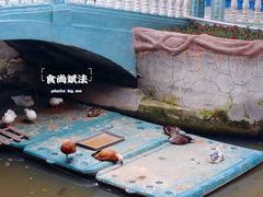 -丹樱生态园
