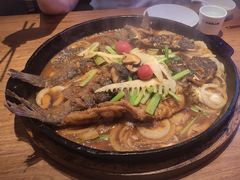 -老板恋上鱼(恒隆广场店)