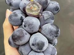 -上海龙吴水胜海发市场