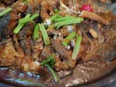 -老板恋上鱼(恒隆广场店)