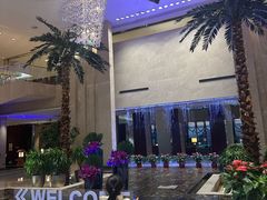 -常州环球恐龙城维景国际大酒店