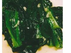 油麦菜-乐天皇朝(爱雍·乌节购物中心店)
