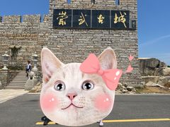 -崇武古城风景区
