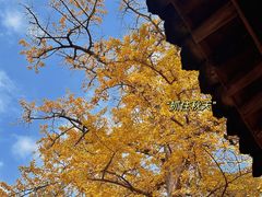 -金堂县云顶石城风景区