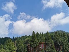 -武陵山森林公园