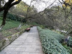 -南山植物园