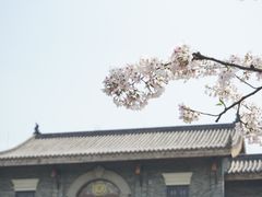 -武汉园博园(武汉自然博物馆)