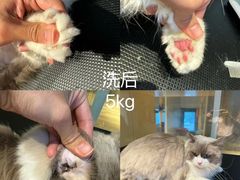 -听TA说宠咖·宠物生活馆(天韵水岸店)