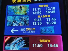 -哈尔滨波塞冬海底世界