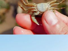 -青岛第三海水浴场