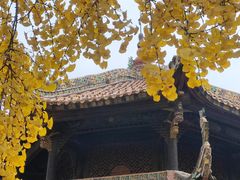 -青羊宫