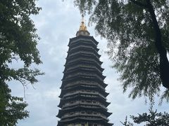 -红梅公园
