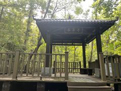 -句容茅山景区