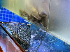 -鱼酷活鱼烤鱼(恒隆广场店)