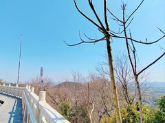 -上海佘山国家森林公园西佘山园