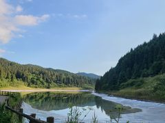 -武陵山森林公园