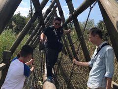 -溱湖国家湿地公园