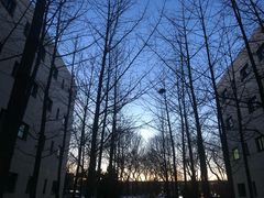 -北京国家会计学院