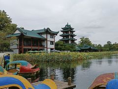-桂湖森林公园