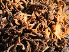 -清真•蜀风园(丁字沽店)