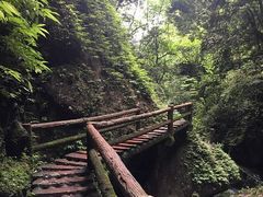 -青城山