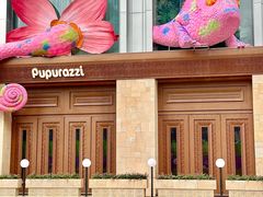 -帕帕拉兹宠物(亚洲旗舰店)