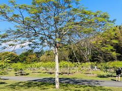 -中国科学院西双版纳热带植物园