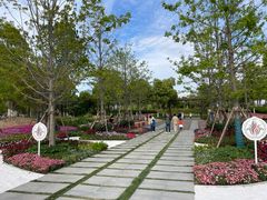 -春花秋色城市公园