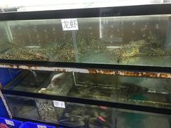-芽庄中心购物广场