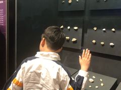 -北京周口店北京人遗址博物馆