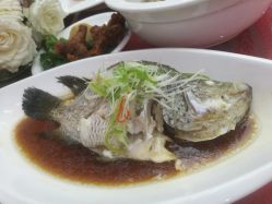 清蒸珍珠斑-上海海鸥丽晶酒店·宴会厅